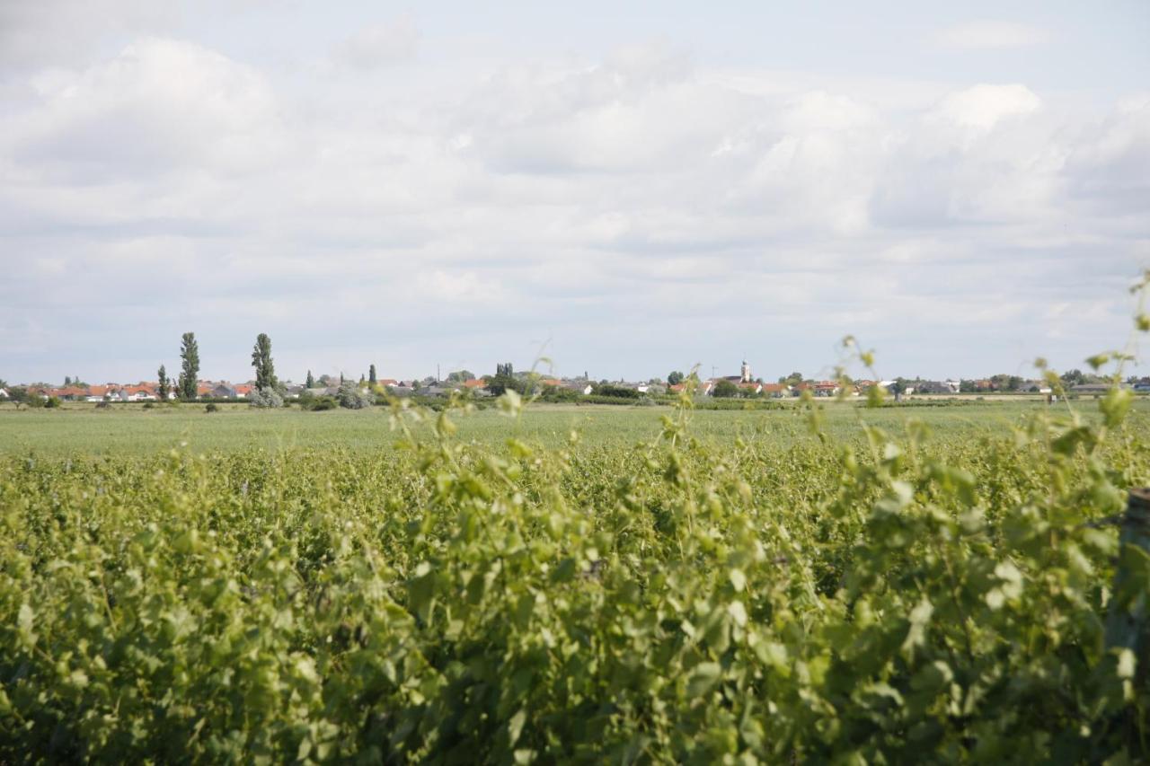 Pension & Weingut Storchenblick Ильмиц Экстерьер фото